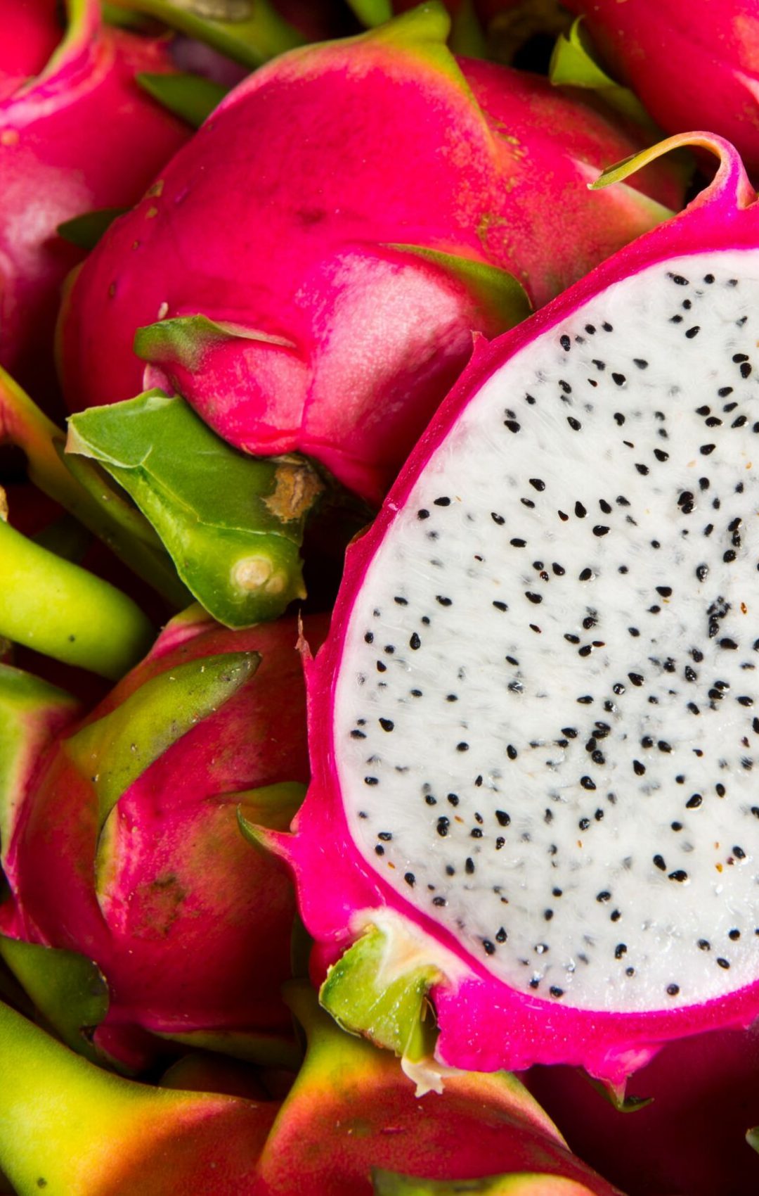 Dragon fruit